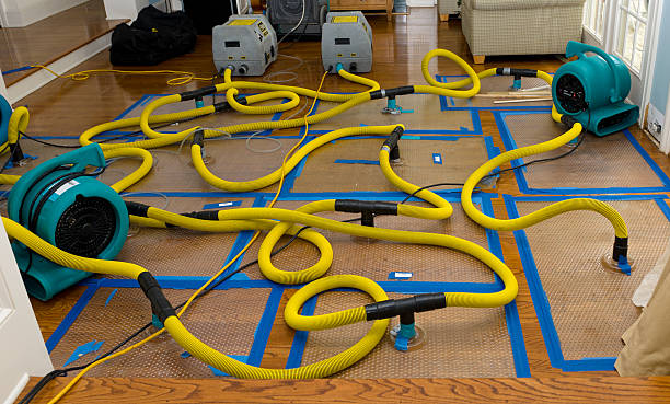 Professional Crawl Space Water Removal technician working in Gordon, WI